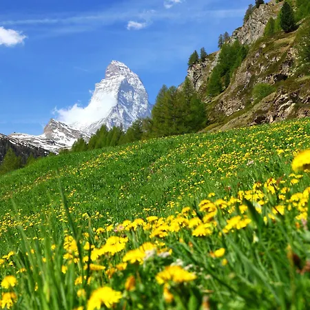 Juliana-2 By Interhome * Zermatt